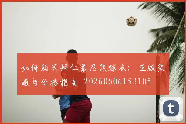 如何购买拜仁慕尼黑球衣:正版渠道与价格指南_20260606153105