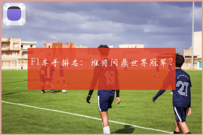 F1车手排名:谁将问鼎世界冠军?